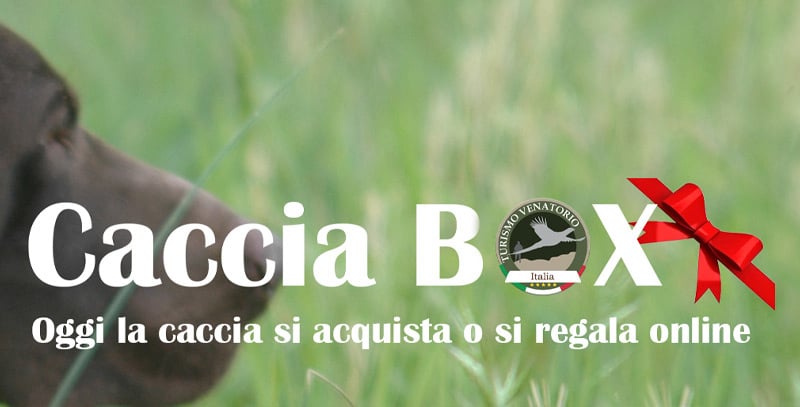 Regalare la caccia cacciabox